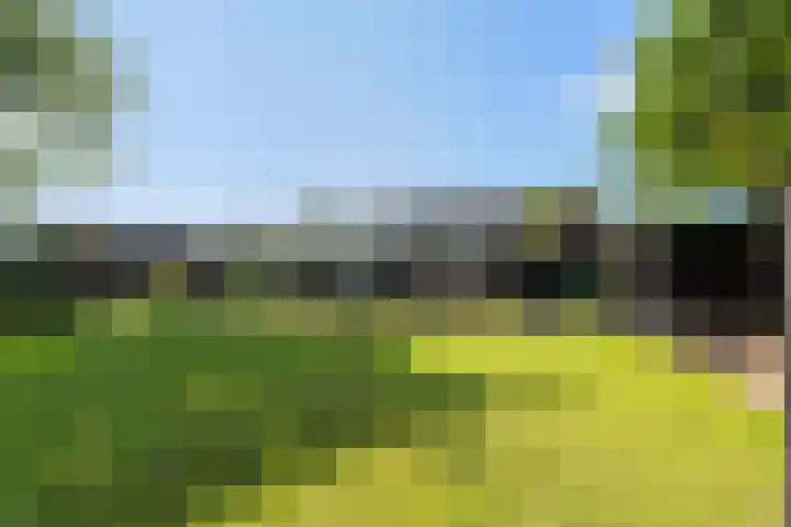 Mauvestraat 1 Waalwijk thumbnail 69