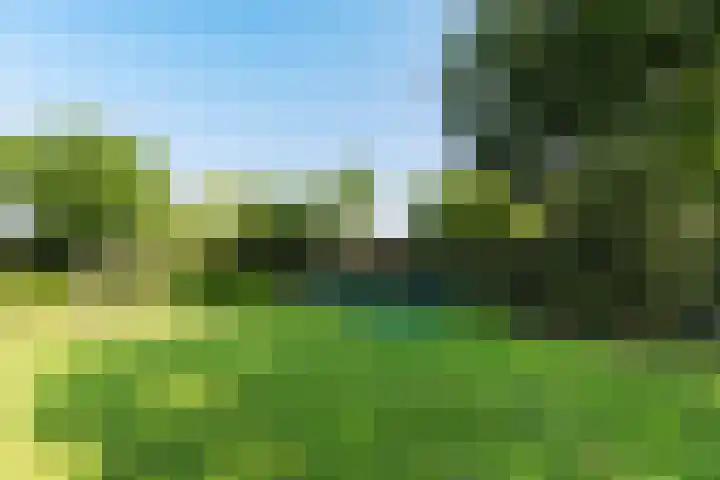 Mauvestraat 1 Waalwijk thumbnail 71