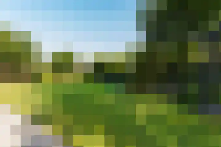 Mauvestraat 1 Waalwijk thumbnail 72