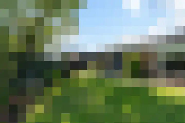 Mauvestraat 1 Waalwijk thumbnail 74