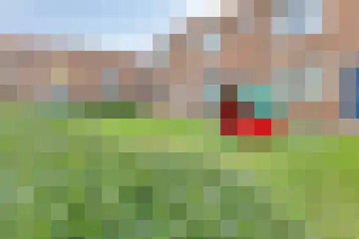 Mauvestraat 12 Zwijndrecht thumbnail 33
