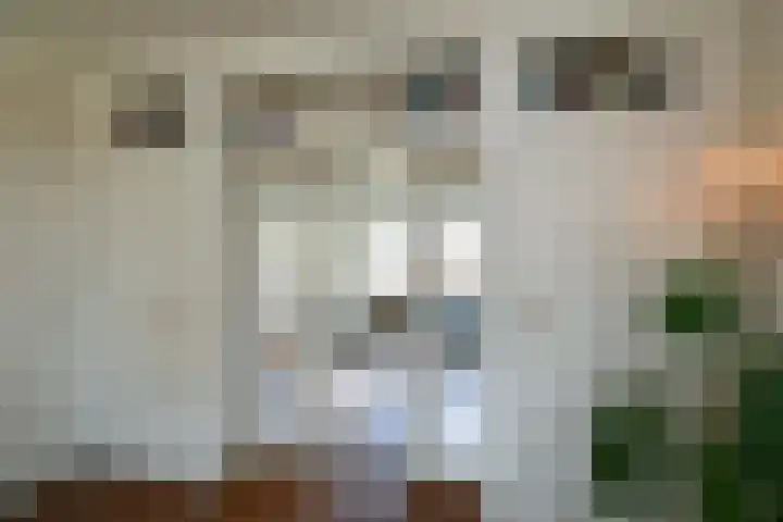 Mauvestraat 18 Arnhem thumbnail 17