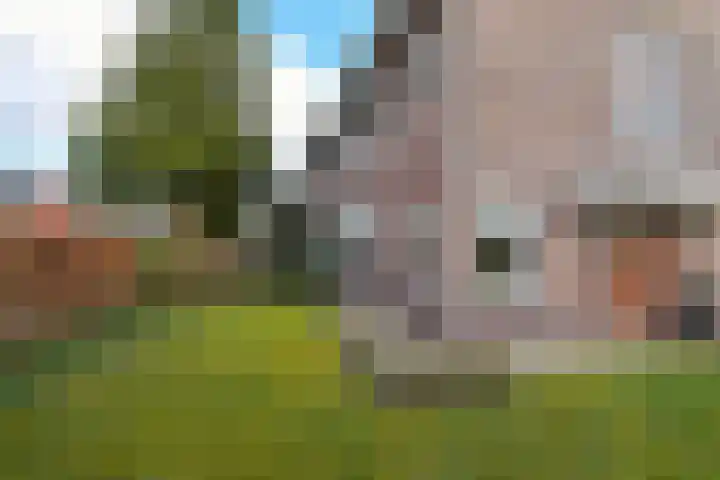 Mauvestraat 18 Arnhem thumbnail 38