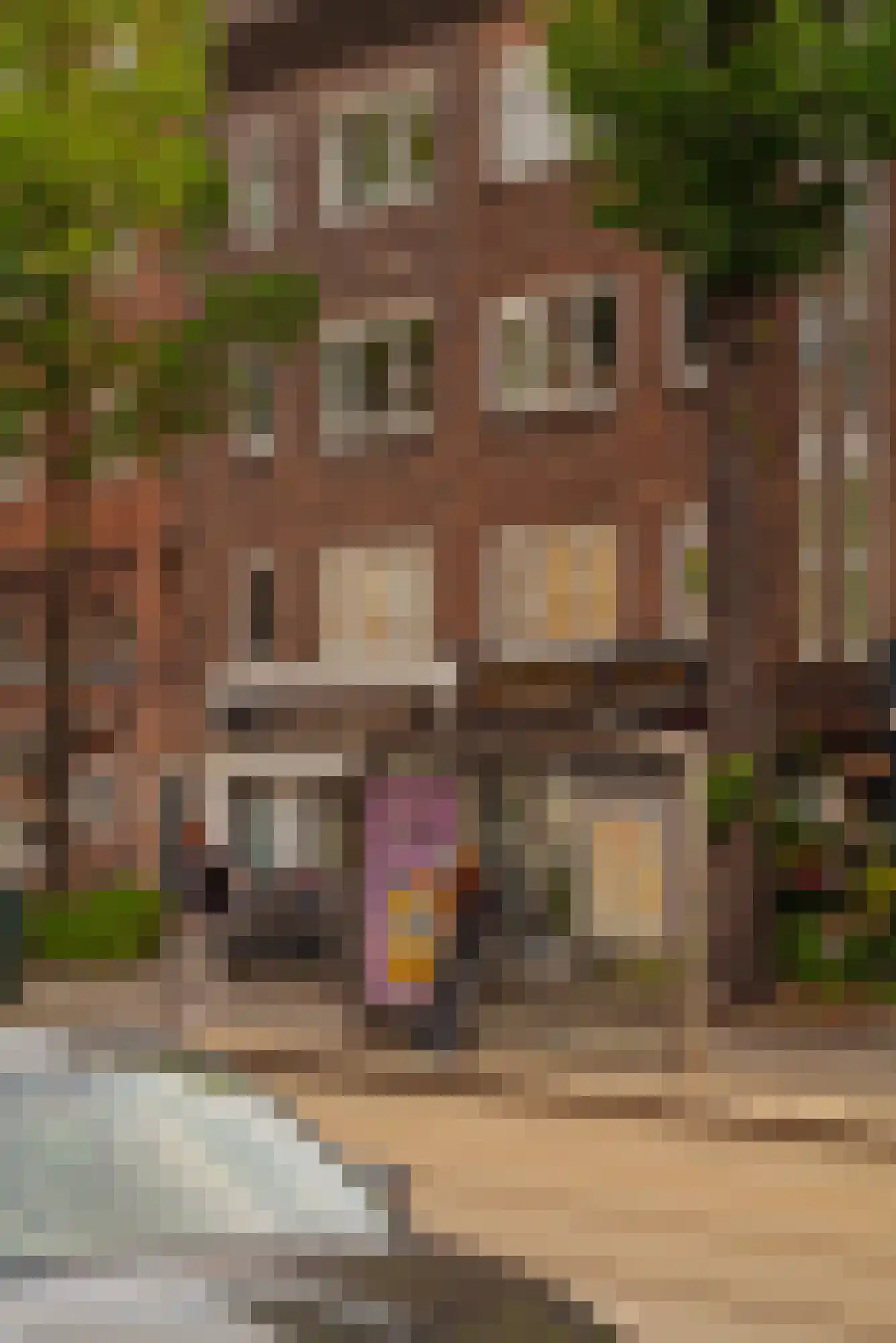 Mauvestraat 18 H Amsterdam thumbnail 20