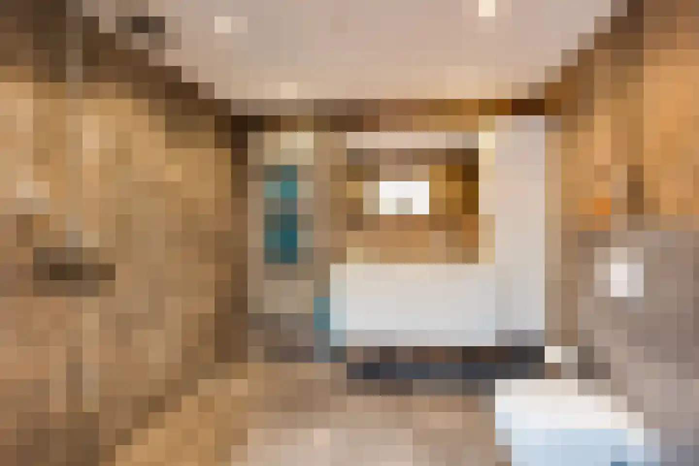 Mauvestraat 2 Baarn thumbnail 15