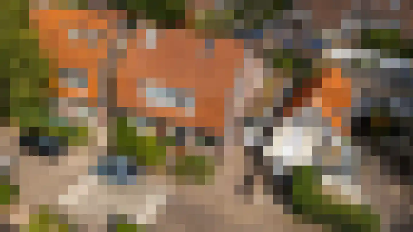 Mauvestraat 2 Baarn thumbnail 32