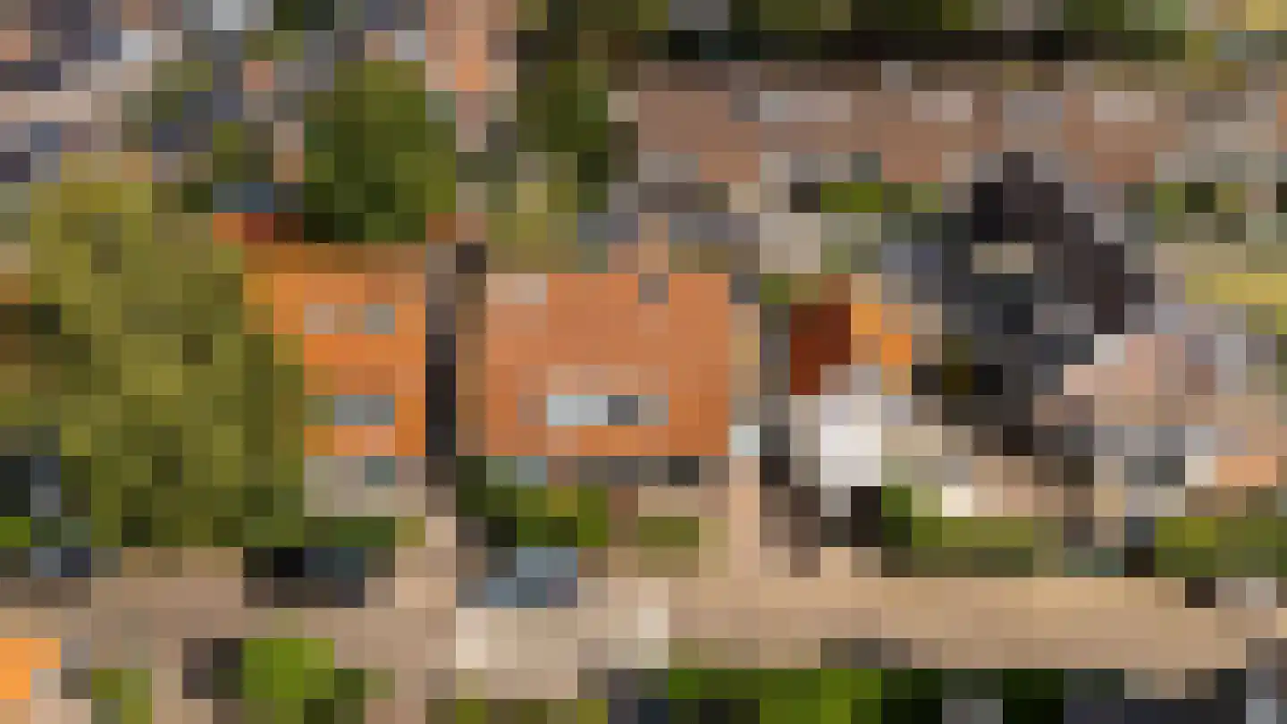 Mauvestraat 2 Baarn thumbnail 33