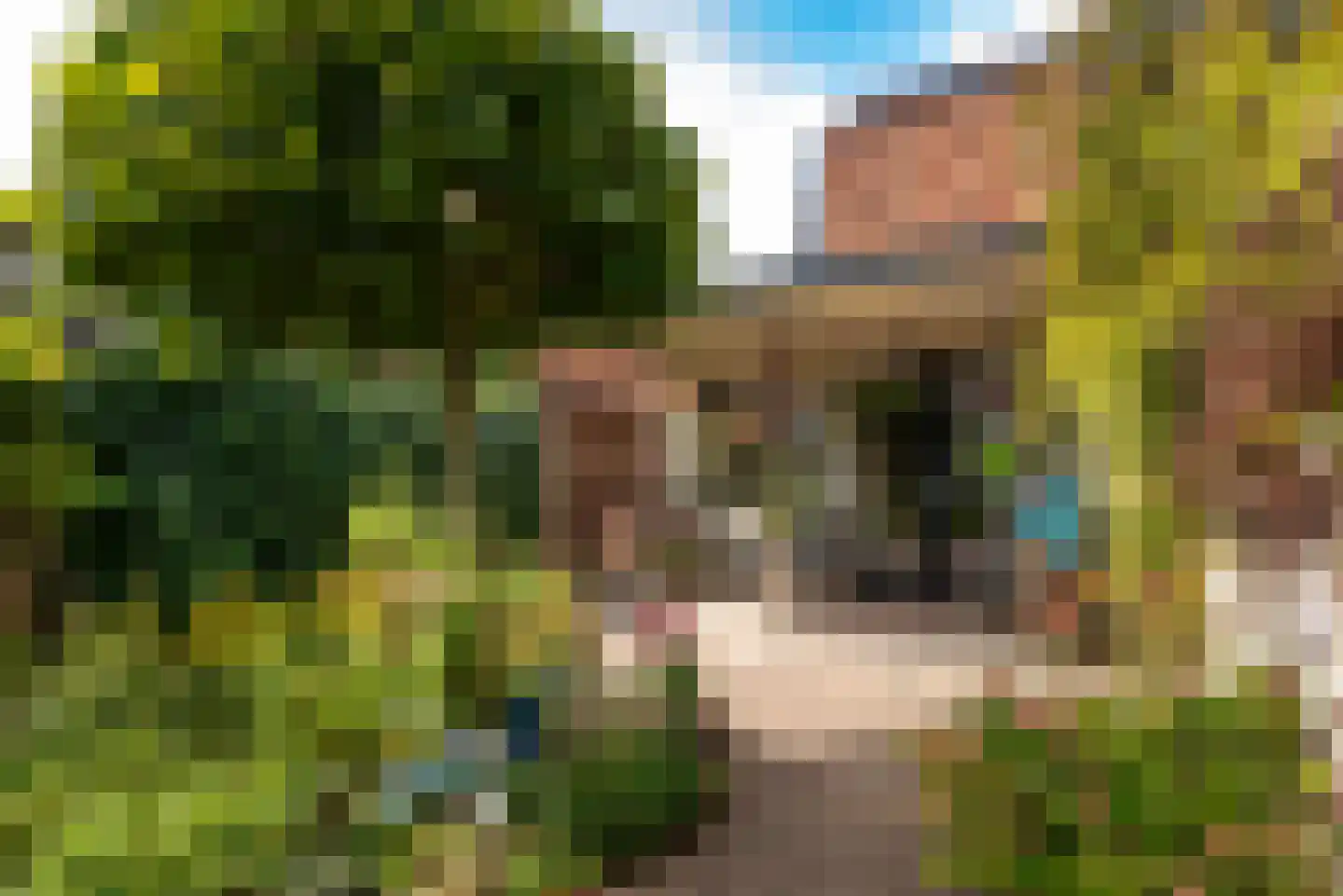 Mauvestraat 2 Baarn thumbnail 4