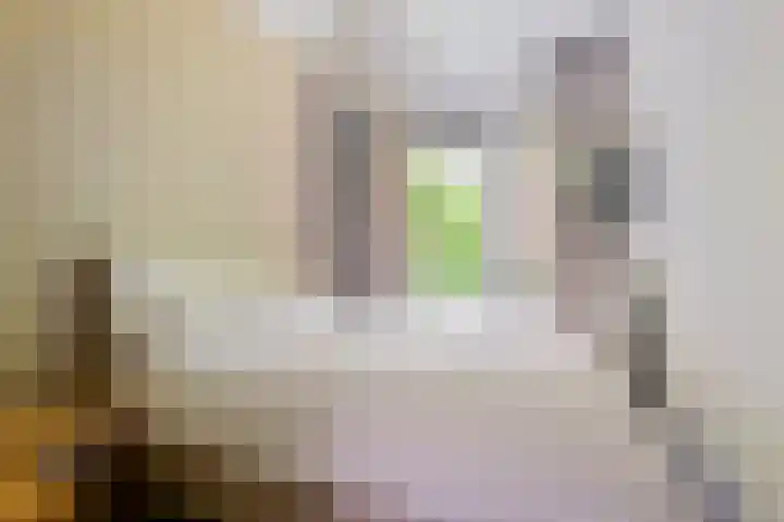 Mauvestraat 24 1 Amsterdam thumbnail 7