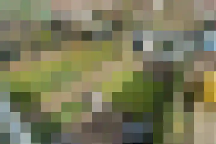 Mauvestraat 26 Baarn thumbnail 37