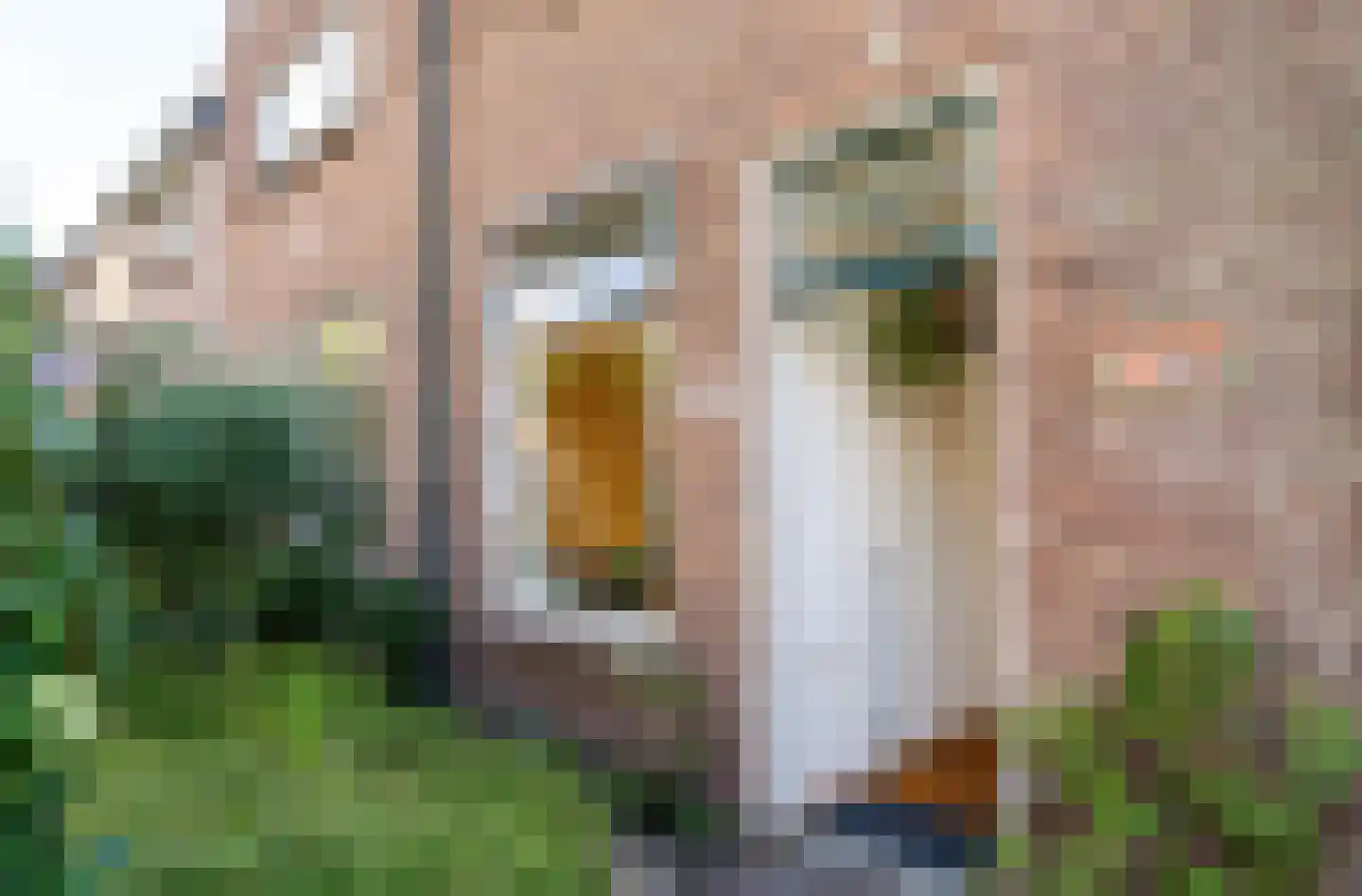 Mauvestraat 28 Baarn thumbnail 6