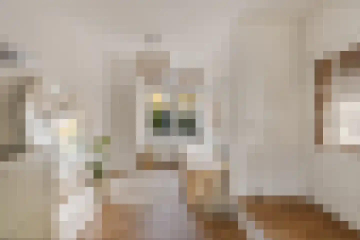 Mauvestraat 3 Baarn thumbnail 6