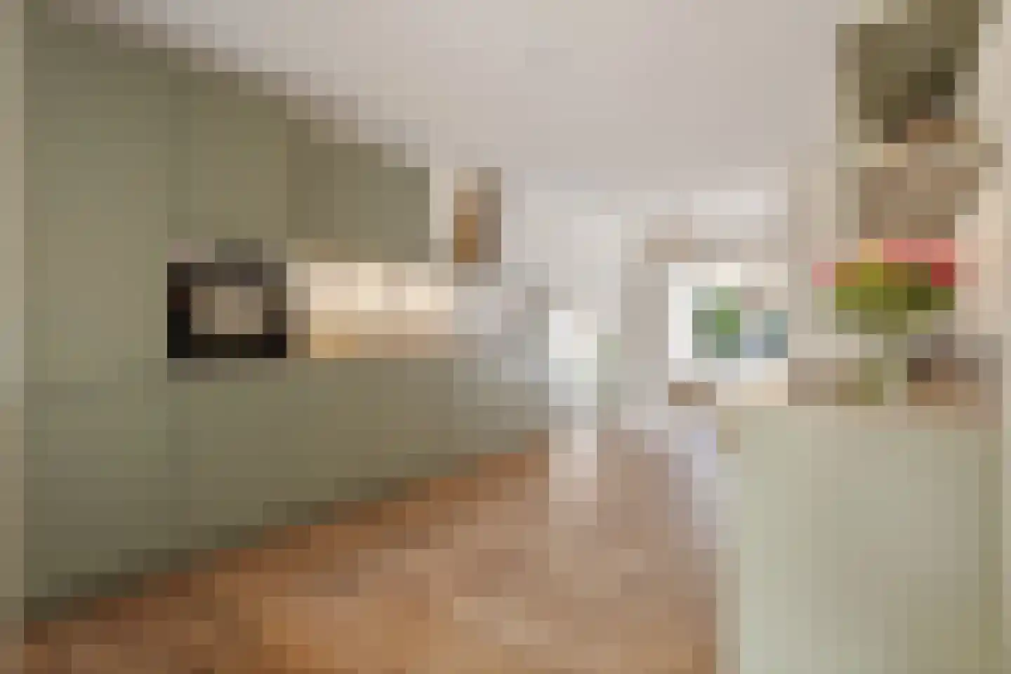 Mauvestraat 3 Baarn thumbnail 9