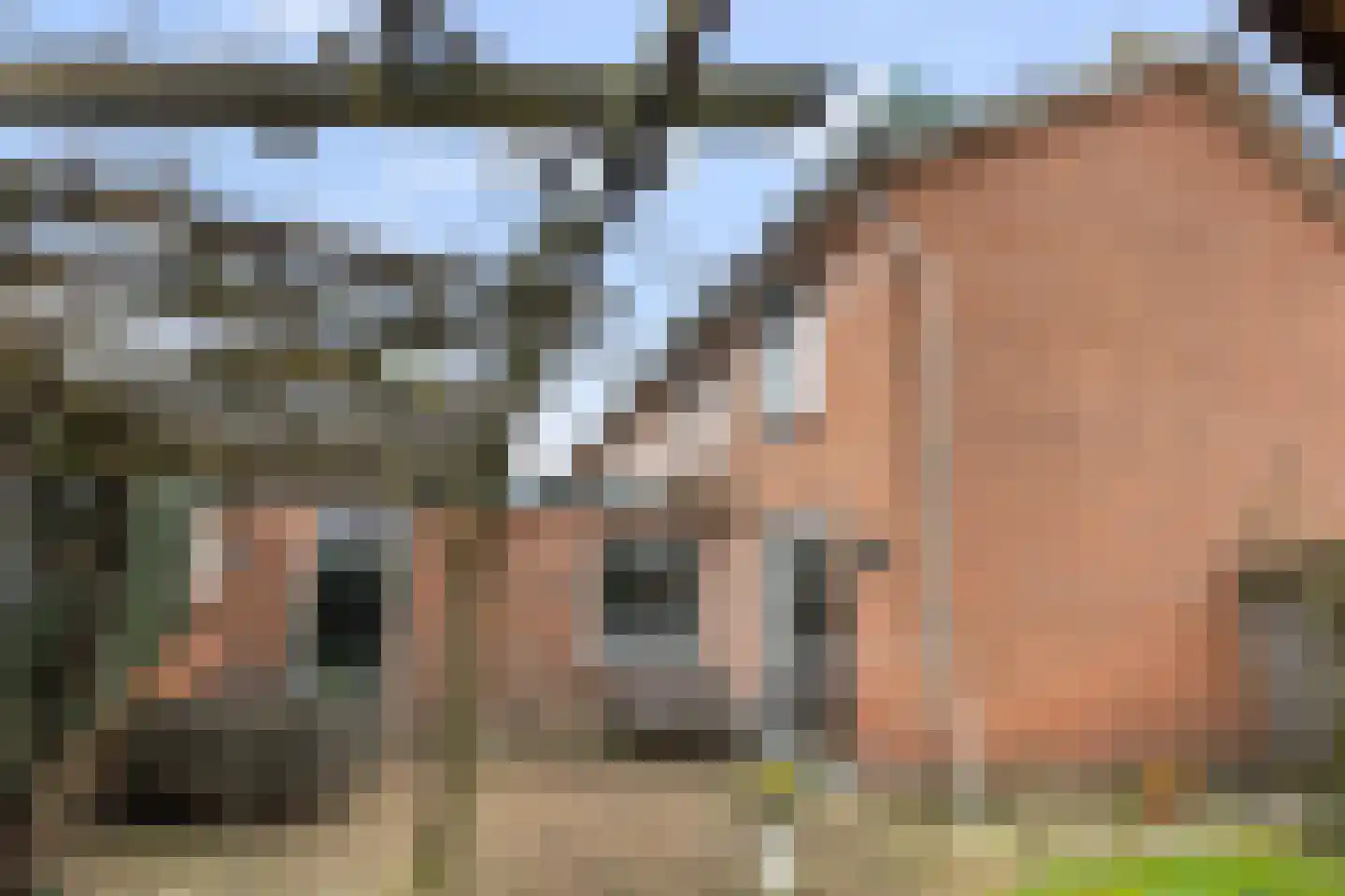 Mauvestraat 38 A Apeldoorn thumbnail 36