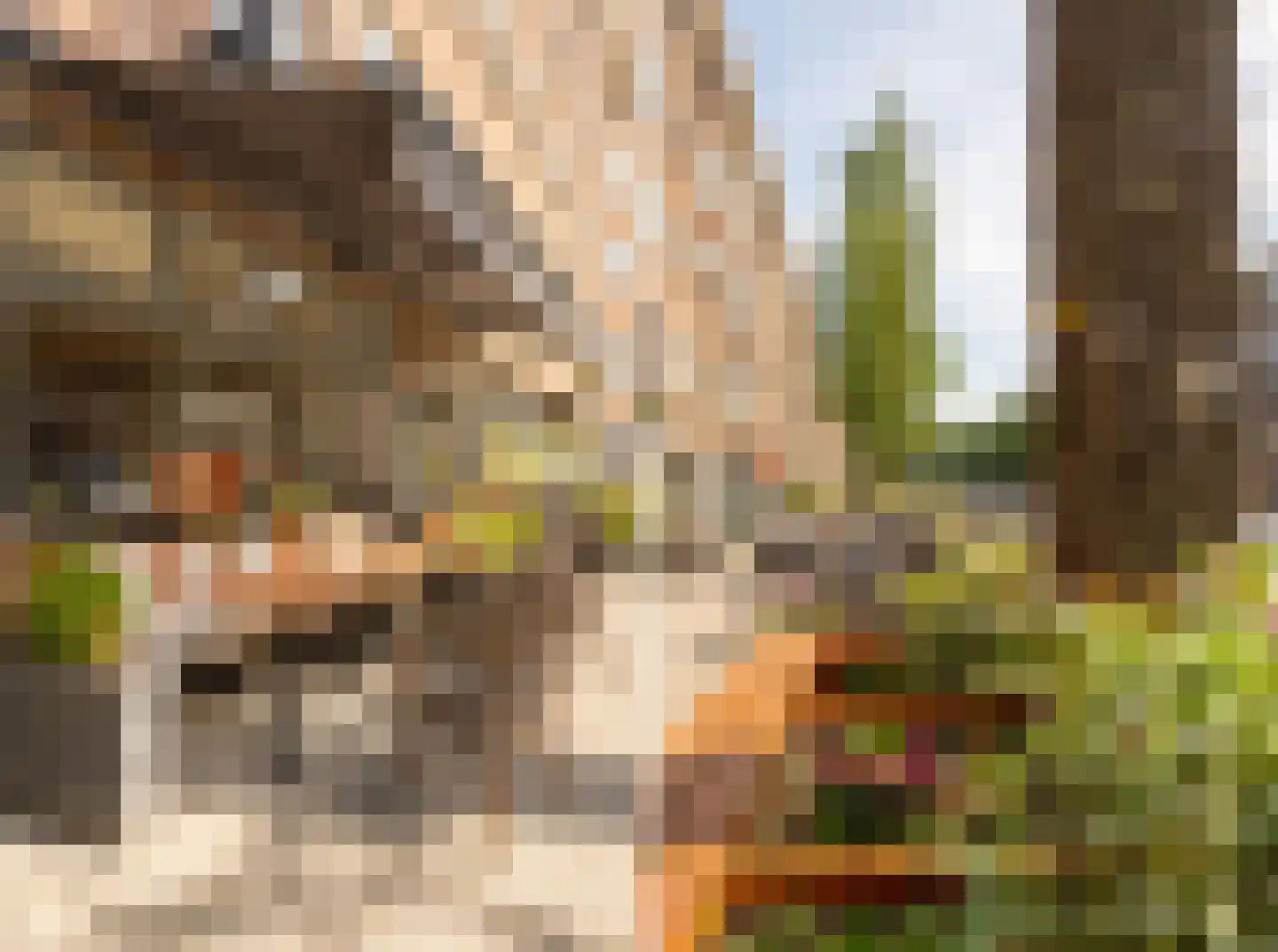 Mauvestraat 40 1 Amsterdam thumbnail 21