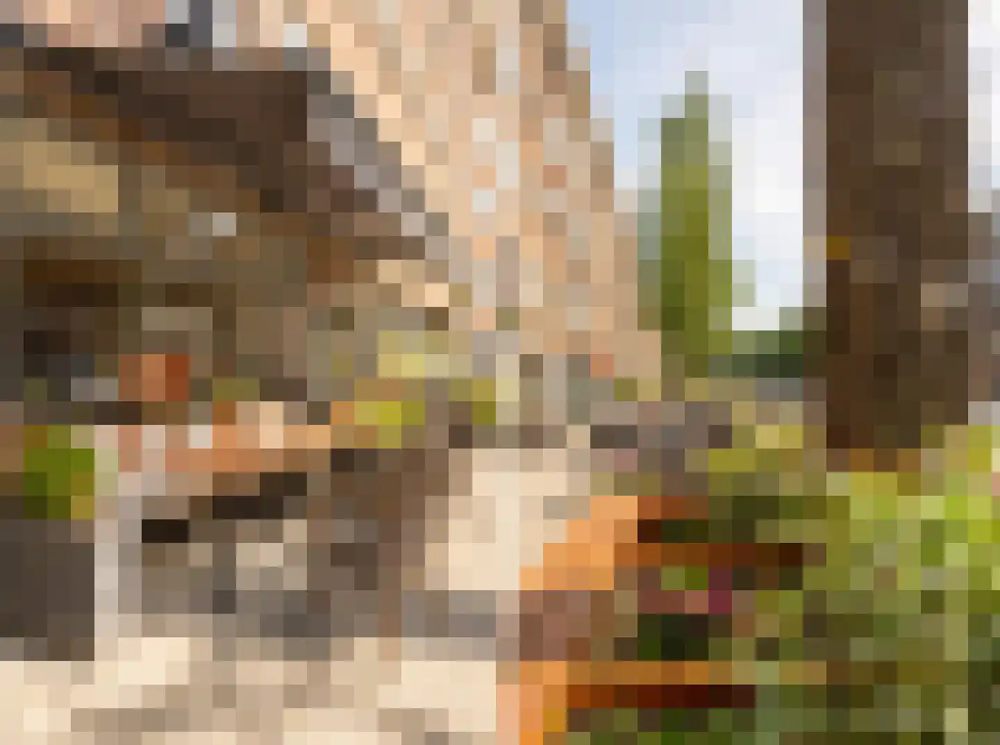 Mauvestraat 40 2 Amsterdam thumbnail 19