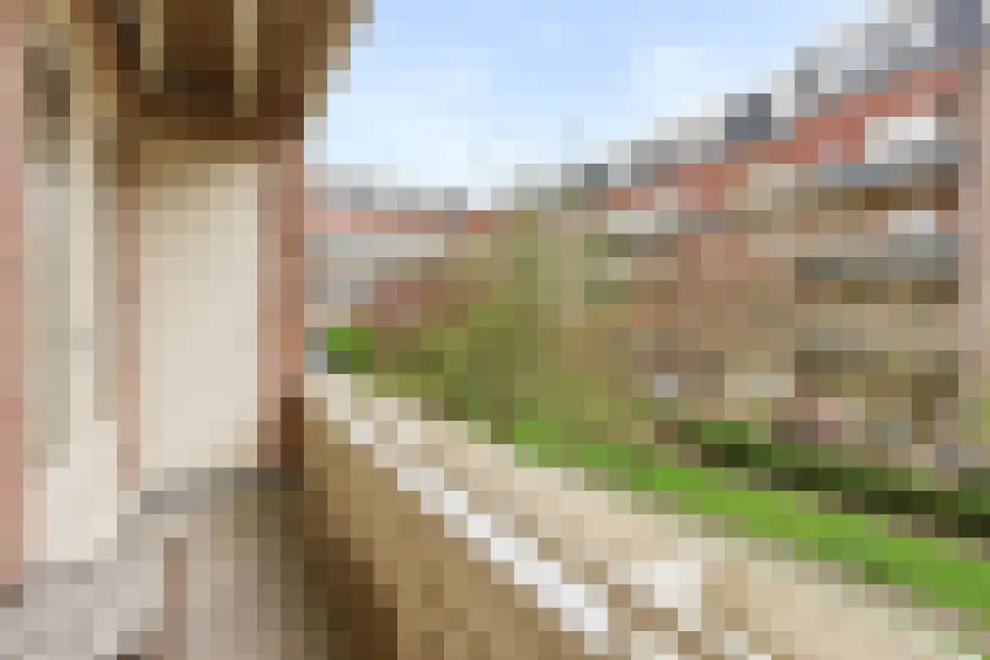 Mauvestraat 40 2 Amsterdam thumbnail 6