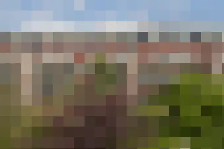 Mauvestraat 42 2 Amsterdam thumbnail 15
