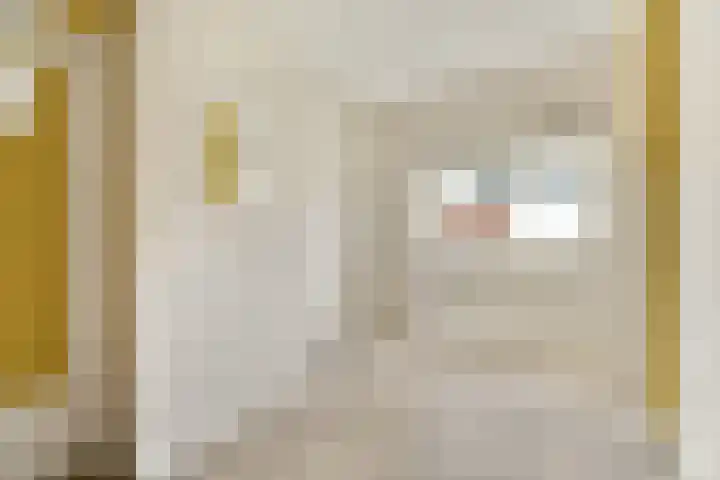 Mauvestraat 42 2 Amsterdam thumbnail 18