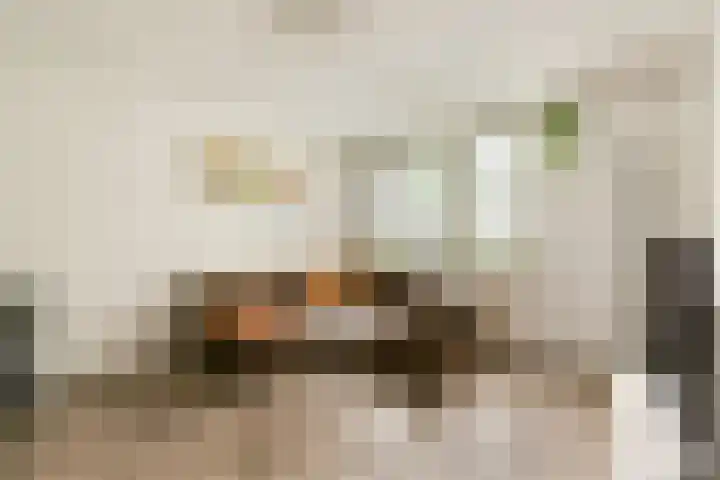 Mauvestraat 42 2 Amsterdam thumbnail 8