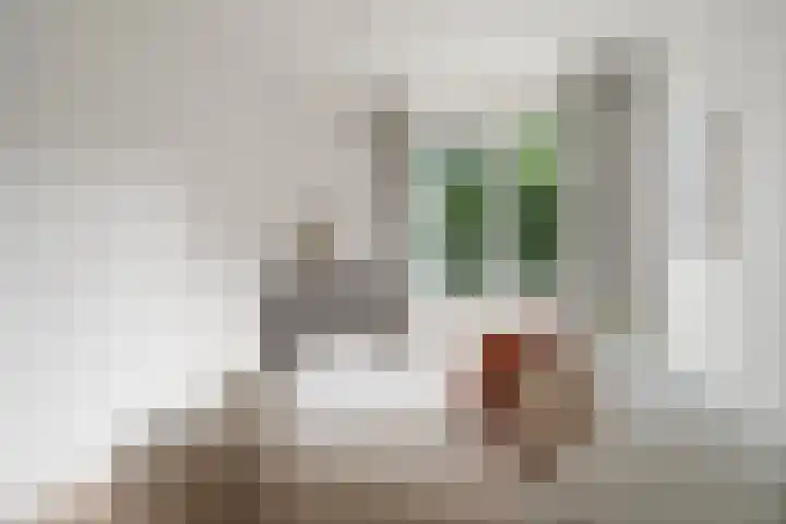 Mauvestraat 43 2 Amsterdam thumbnail 28