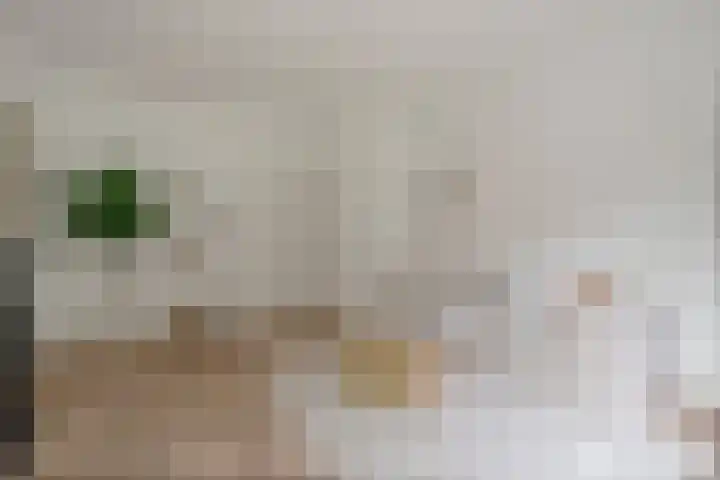 Mauvestraat 43 2 Amsterdam thumbnail 4