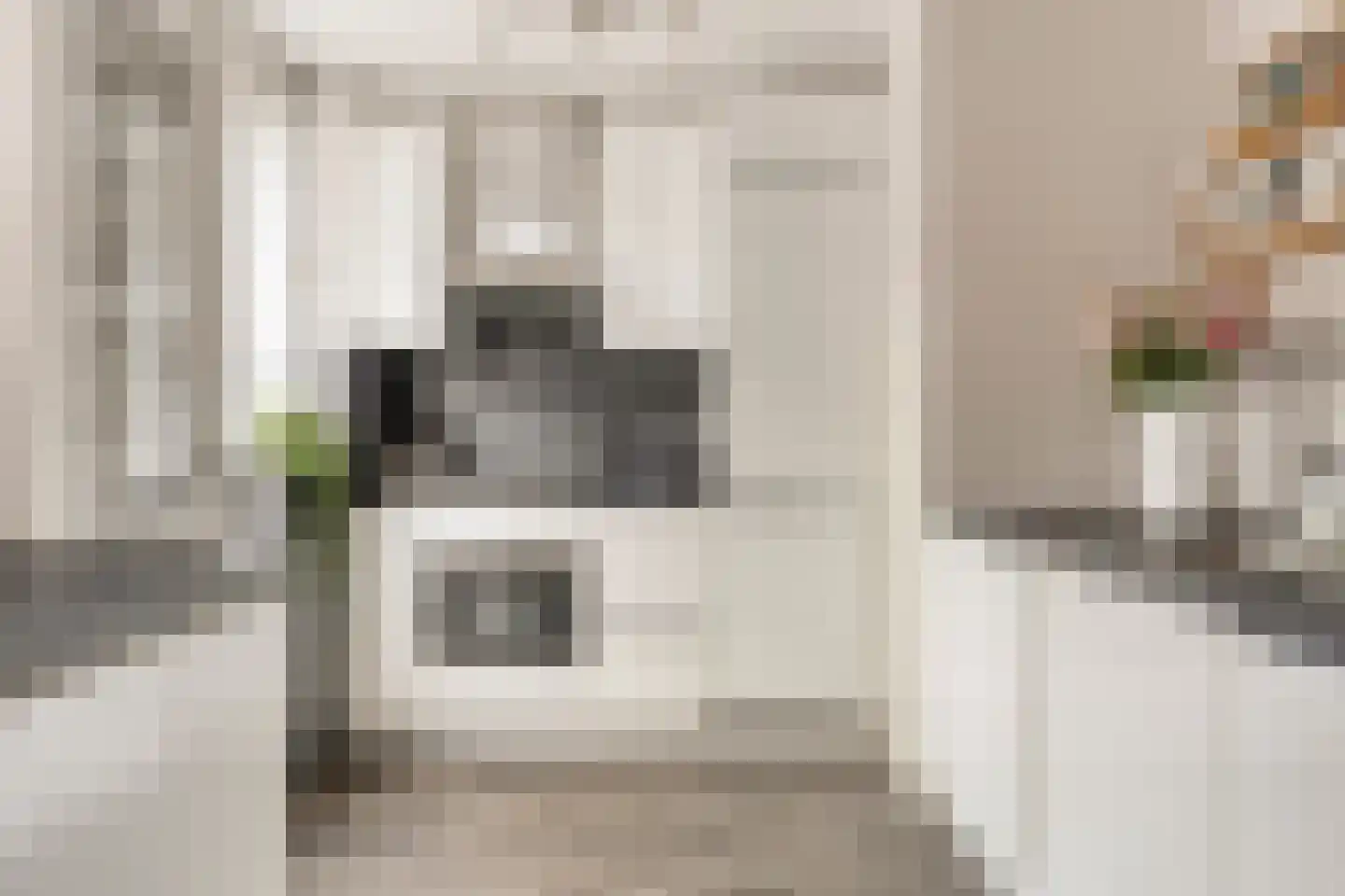 Mauvestraat 45 2 Amsterdam thumbnail 12