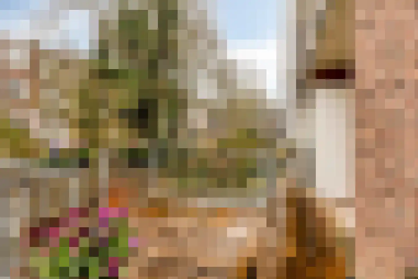 Mauvestraat 45 2 Amsterdam thumbnail 17