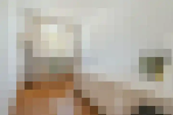 Mauvestraat 54 1 Amsterdam thumbnail 17