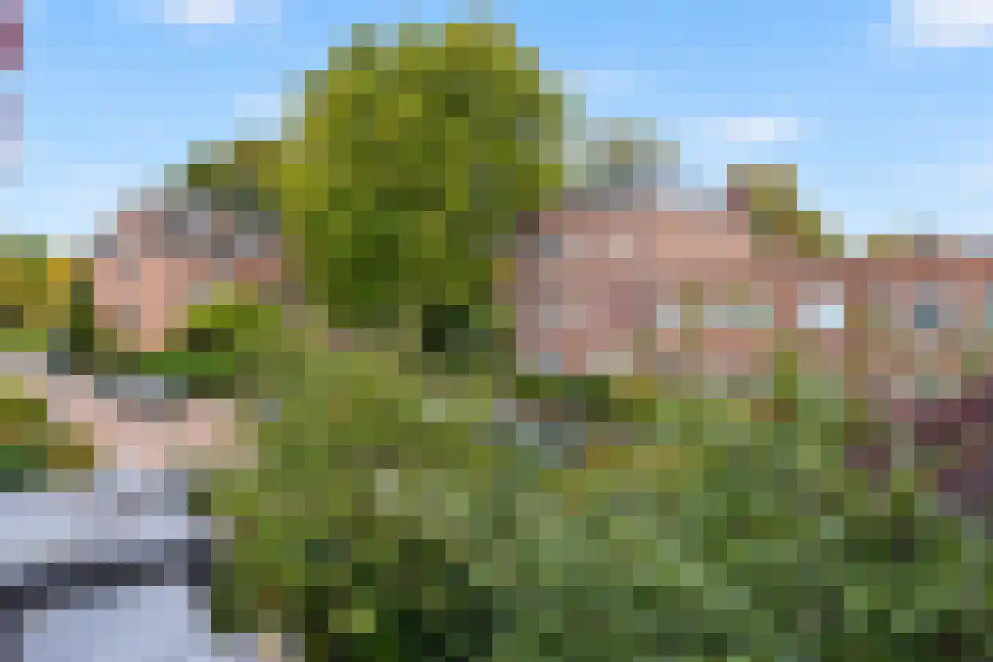 Mauvestraat 56 Den Haag thumbnail 19