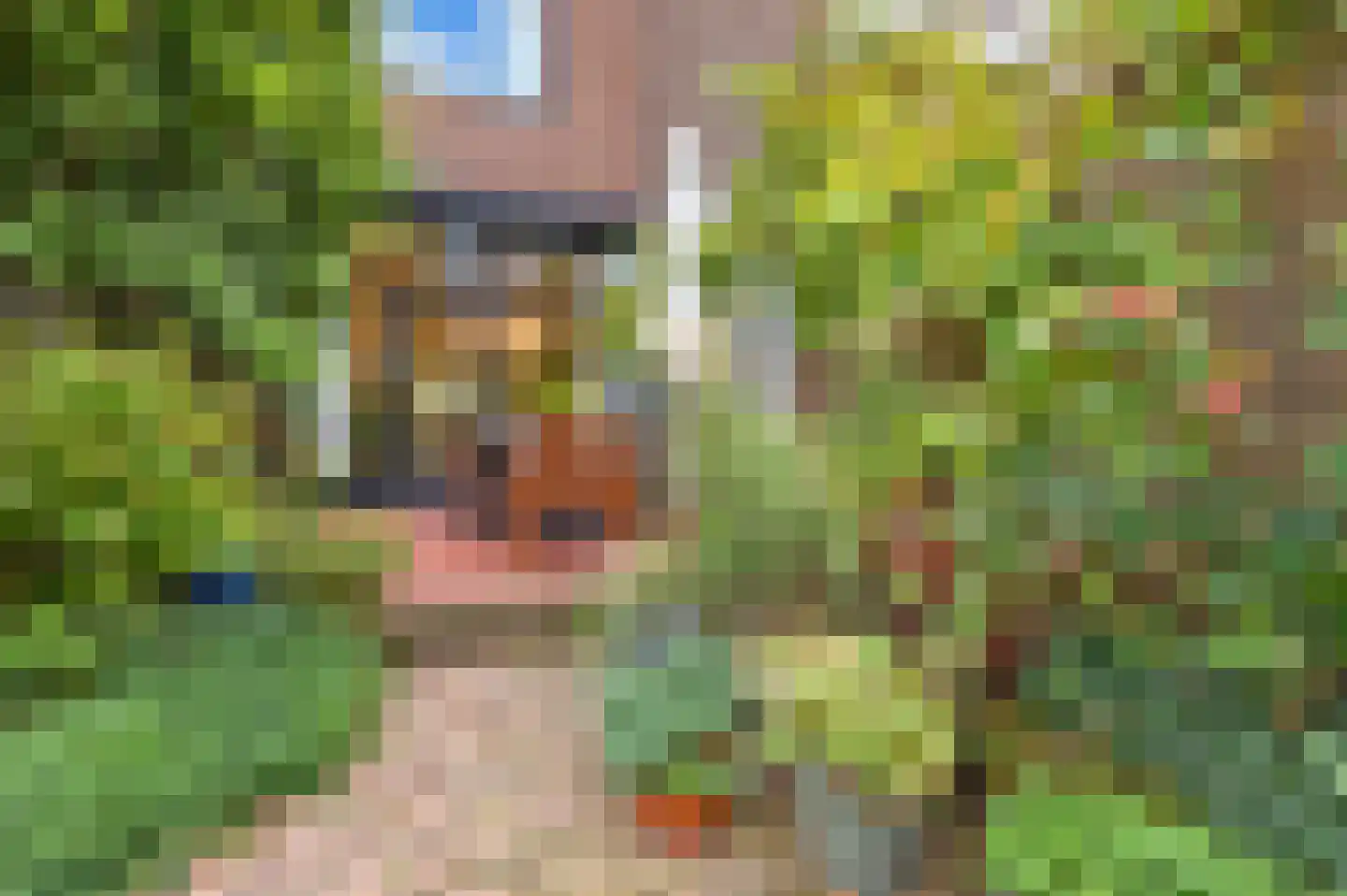 Mauvestraat 56 Den Haag thumbnail 8