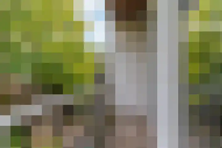 Mauvestraat 57 1 Amsterdam thumbnail 17