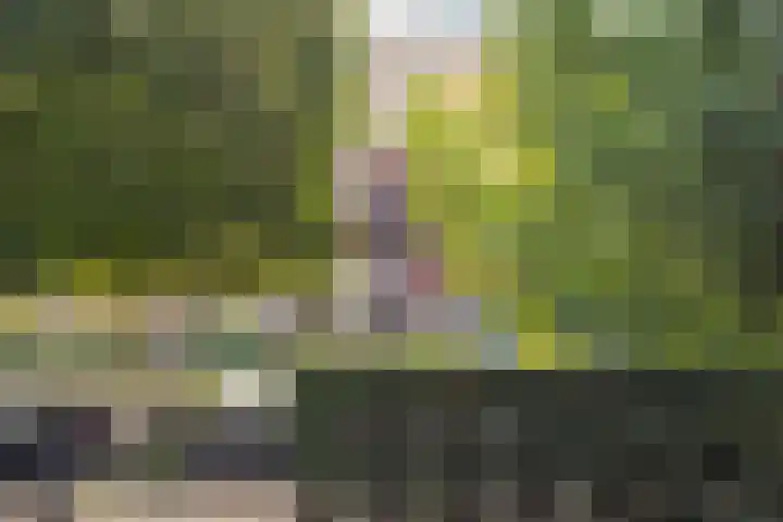 Mauvestraat 57 1 Amsterdam thumbnail 31
