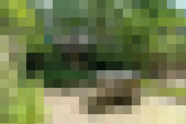 Mauvestraat 57 1 Amsterdam thumbnail 5