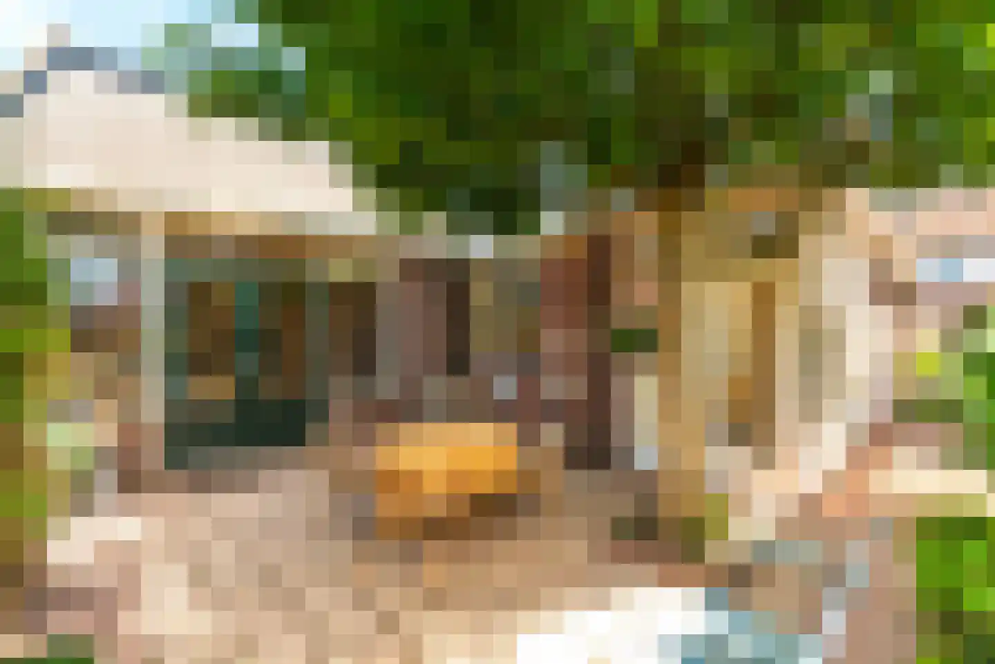 Mauvestraat 59 Baarn thumbnail 4