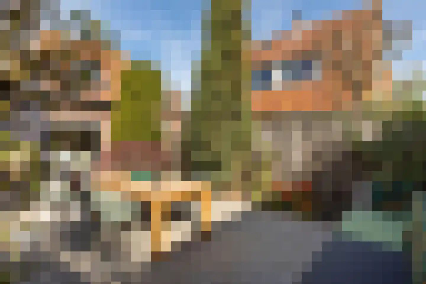 Mauvestraat 61 Baarn thumbnail 34