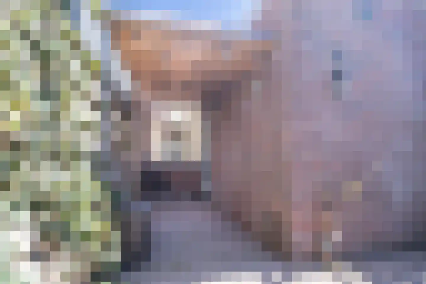 Mauvestraat 73 Baarn thumbnail 20