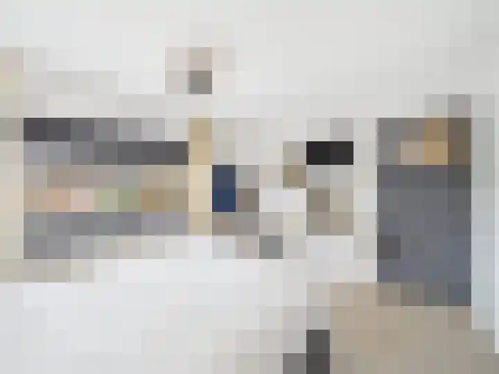 Mauvestraat 8 Terneuzen thumbnail 15