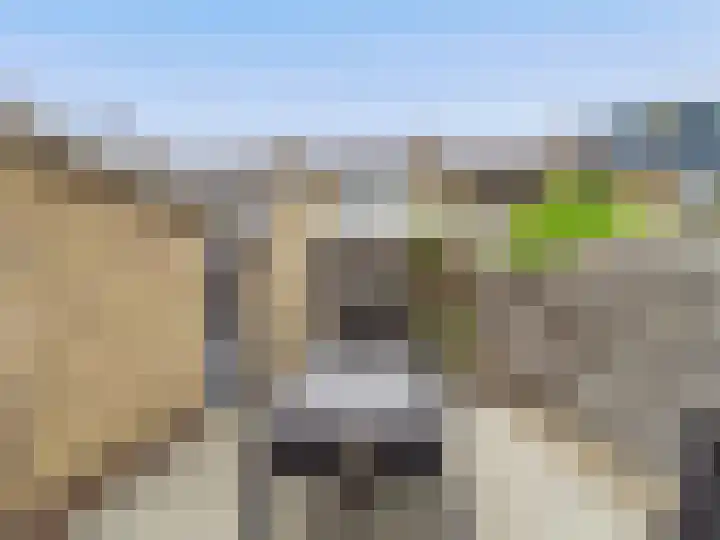 Mauvestraat 8 Terneuzen thumbnail 24