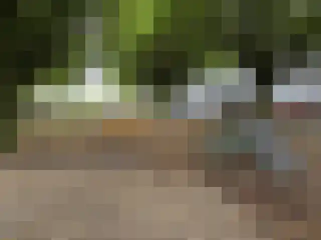Mauvestraat 8 Terneuzen thumbnail 32