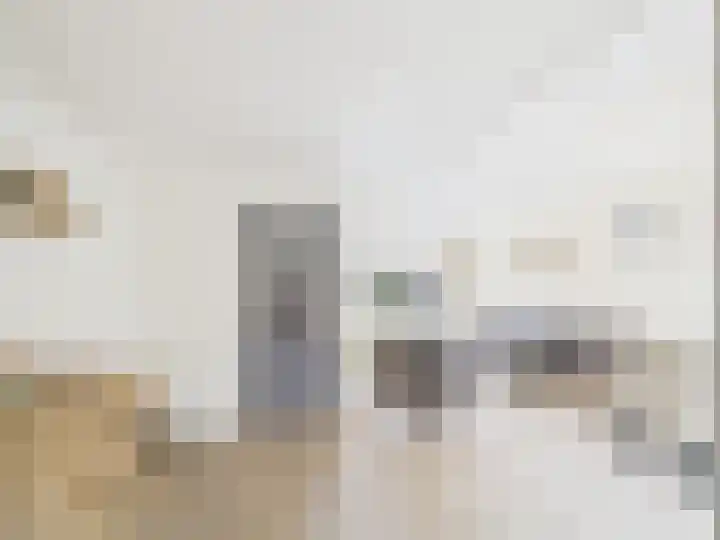 Mauvestraat 8 Terneuzen thumbnail 8