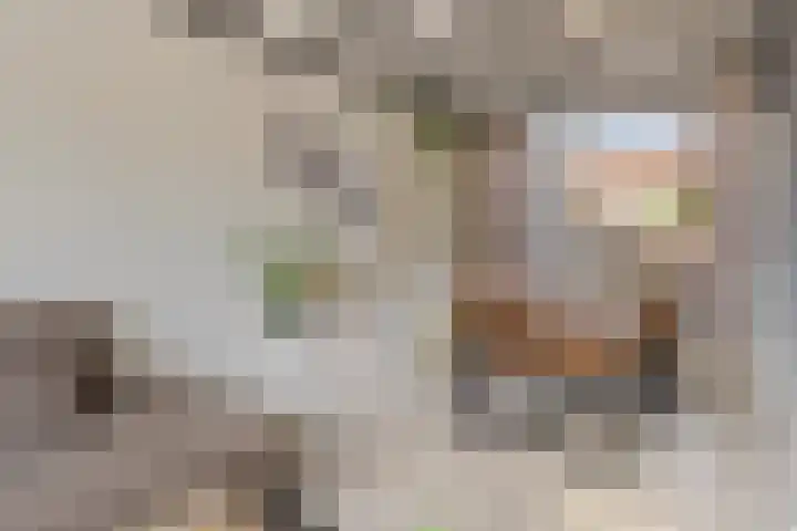 Mauvestraat 9 Terneuzen thumbnail 4