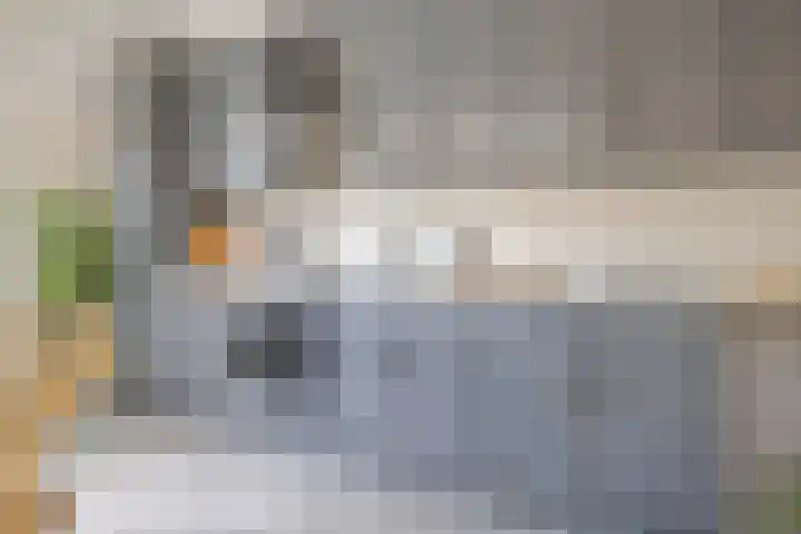 Mauvestraat 9 Terneuzen thumbnail 8