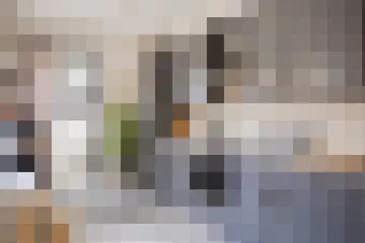 Mauvestraat 9 Terneuzen thumbnail 9