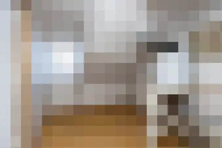 Mauvestraat 9 Zwijndrecht thumbnail 19