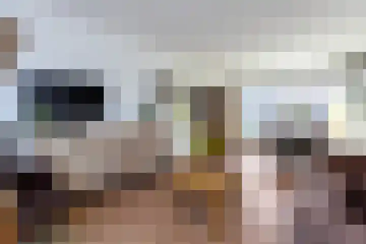 Mauvestraat 9 Zwijndrecht thumbnail 4