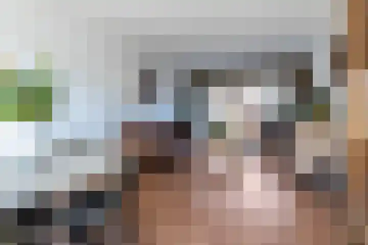 Mauvestraat 9 Zwijndrecht thumbnail 6