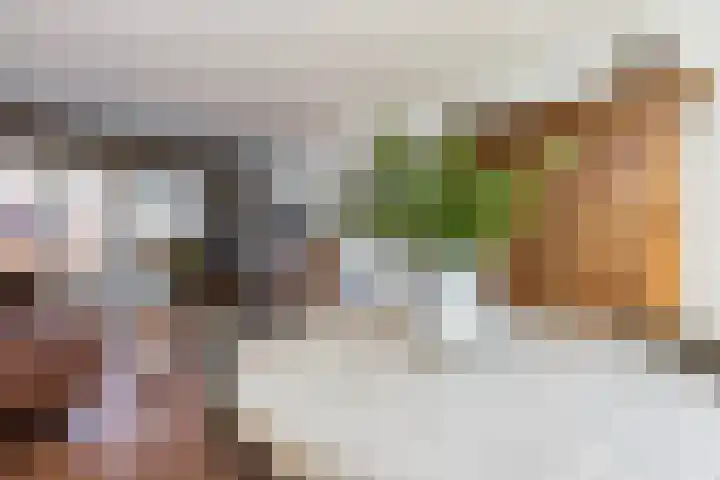 Mauvestraat 9 Zwijndrecht thumbnail 8
