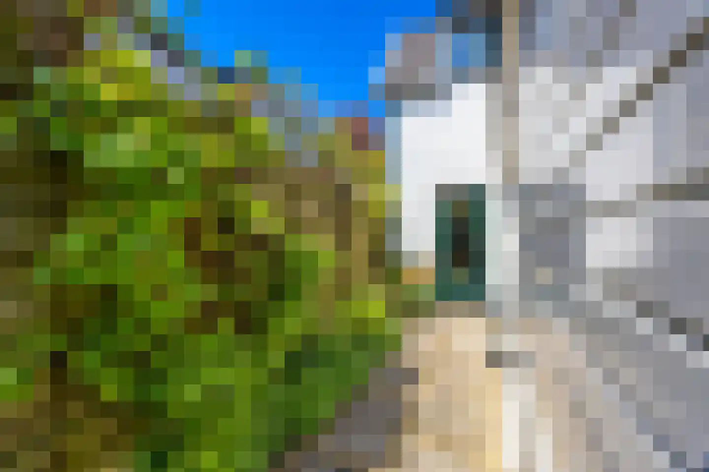 Mauvezand 16 Laren thumbnail 24
