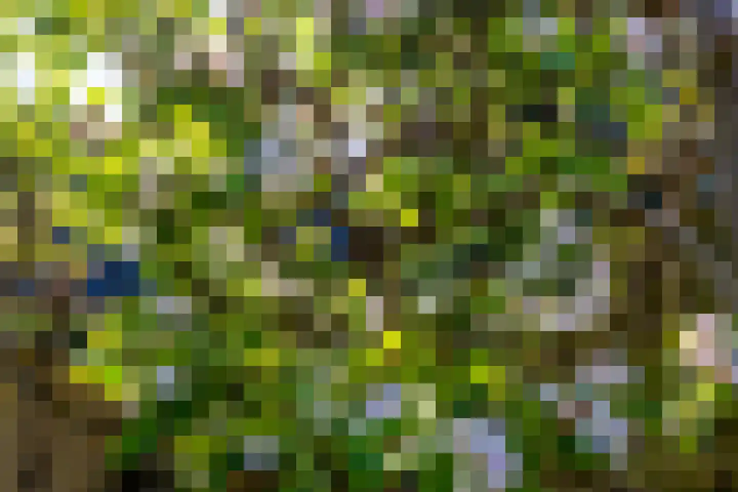 Mauvezand 16 Laren thumbnail 36